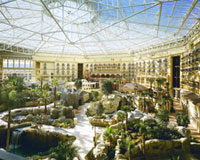 Gaylord Palms Resort and Spa 