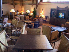 concierge kingdom animal lodge disney service